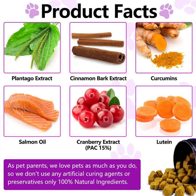 Probiotic Chews for Dogs - Image 2