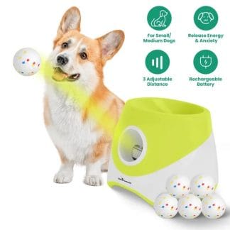 Automatic Dog Ball Launcher with 6 Balls