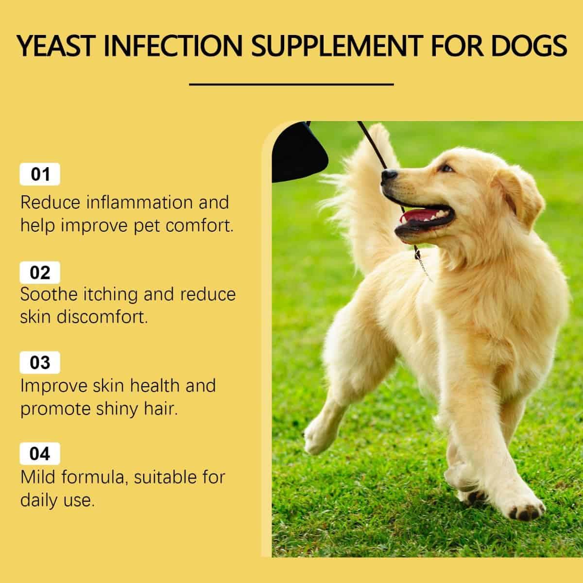 Calm Coat Skin & Coat Support Supplement – image 13