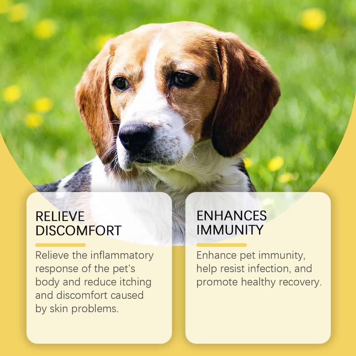 Calm Coat Skin & Coat Support Supplement – image 2
