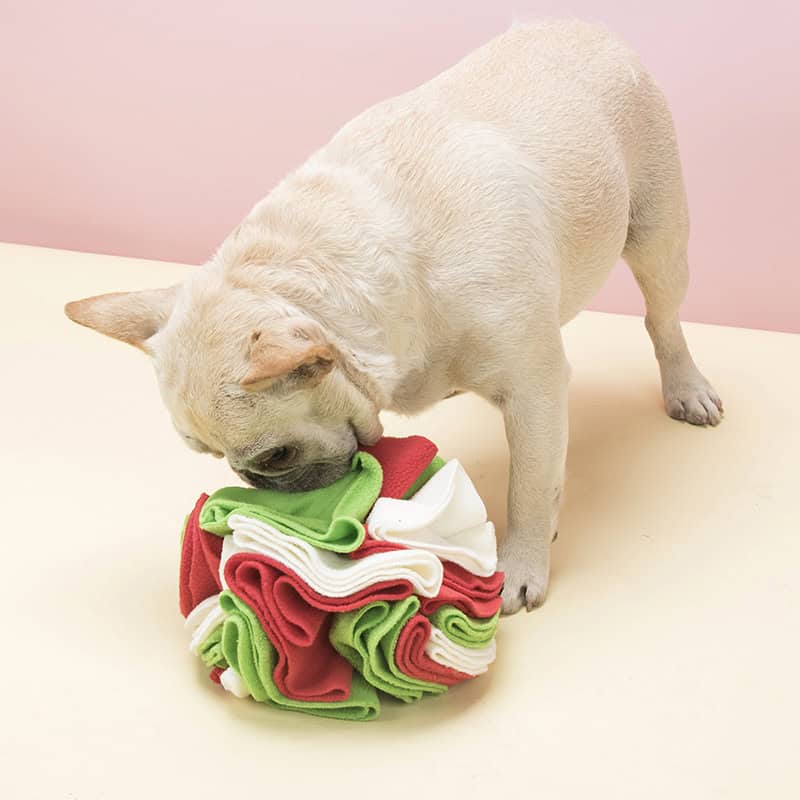 Calm Sniff snuffle ball for dogs – image 1