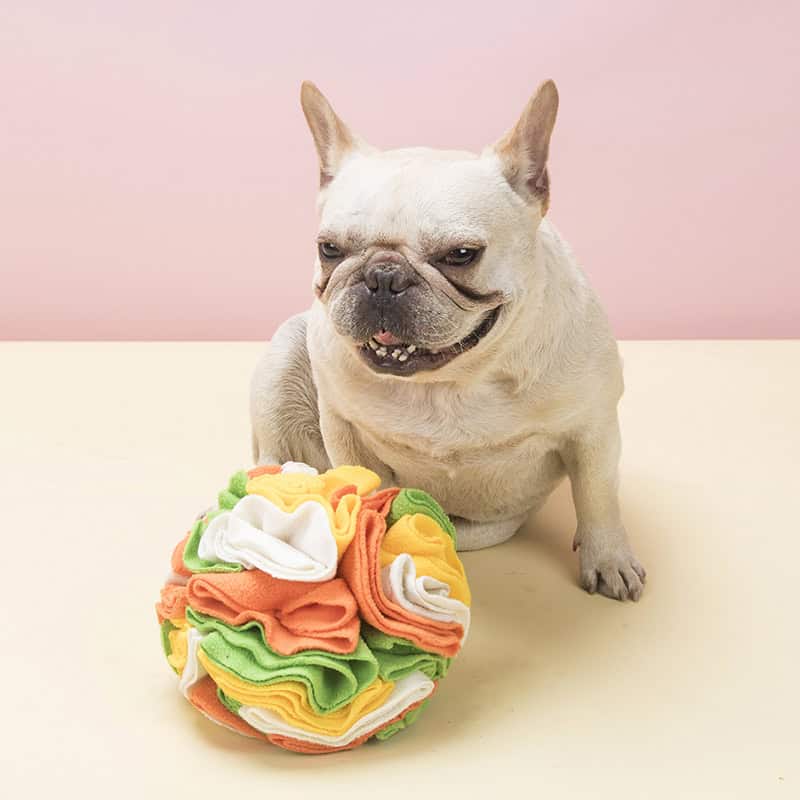 Calm Sniff snuffle ball for dogs – image 3