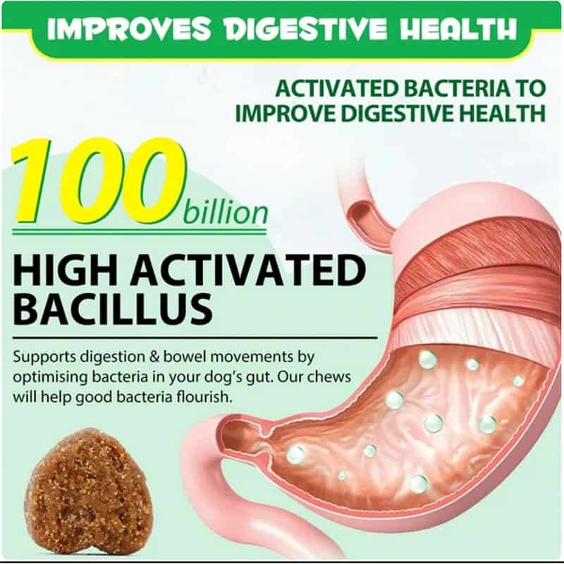 Probiotic Chews for Dogs - Image 5