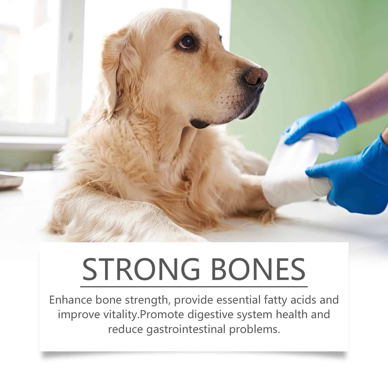 Omega-3 Fish Oil Chews for Dogs, 60 Count - Image 3