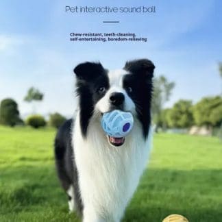 Interactive Sound Ball for Dogs