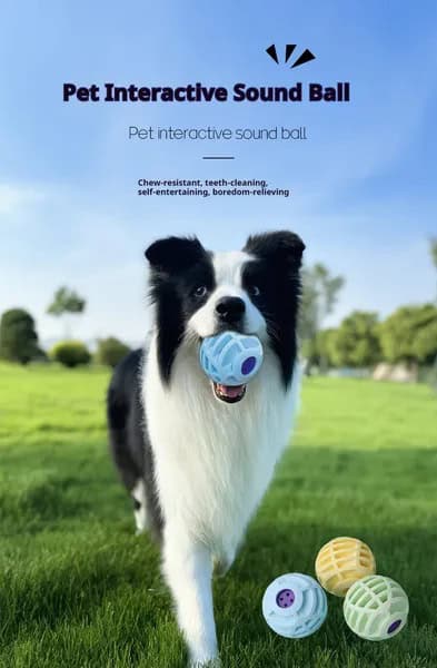 Interactive Sound Ball for Dogs