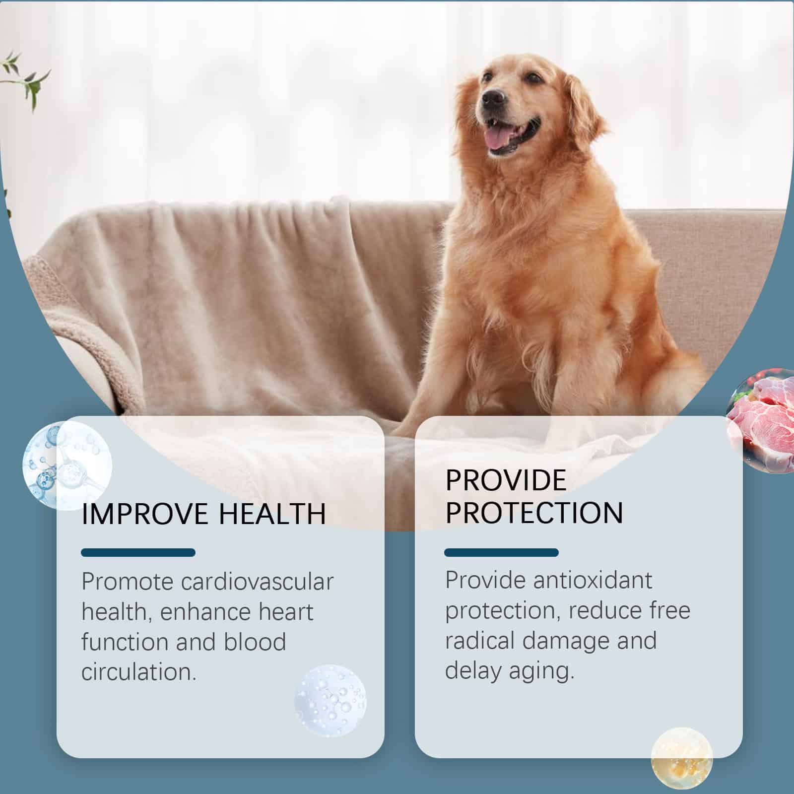 Mineral Supplement Chews for Dogs, 80 Count - Image 8