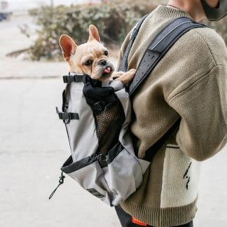 Calm Carry™ Legs-Out Dog Carrier Backpack