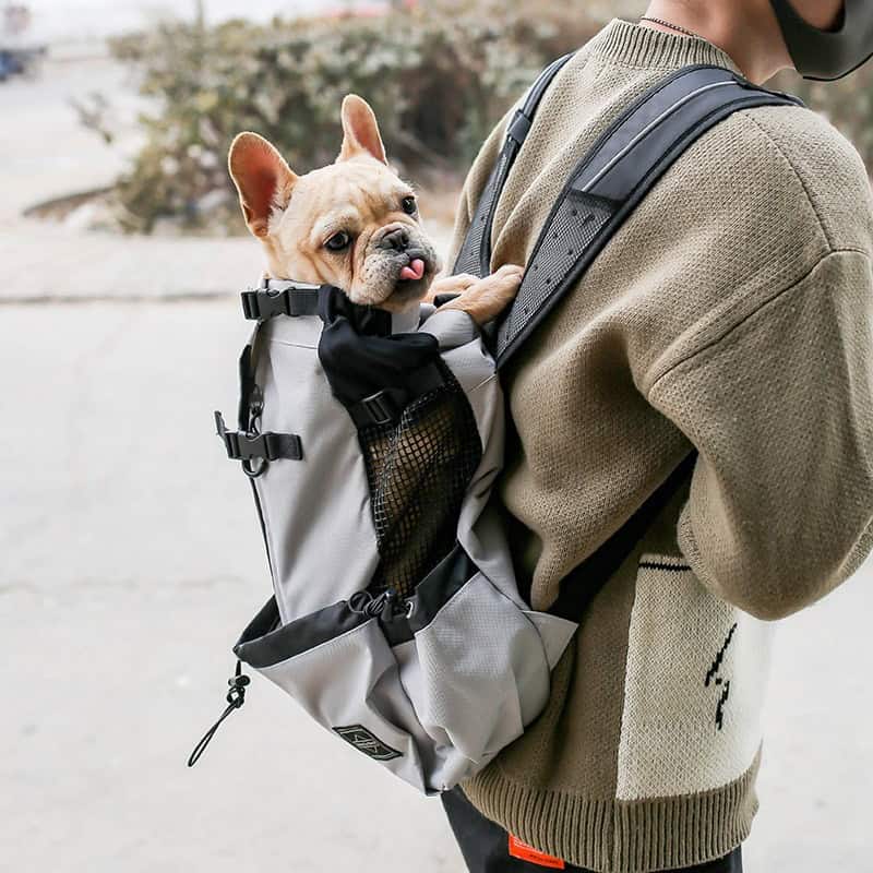 Calm Carry™ Legs-Out Dog Carrier Backpack