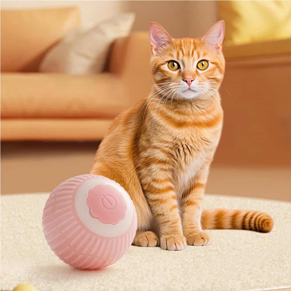 Calm Play™ Self-Rolling Smart Ball – Interactive Boredom & Separation-Anxiety Toy for Dogs - Image 5
