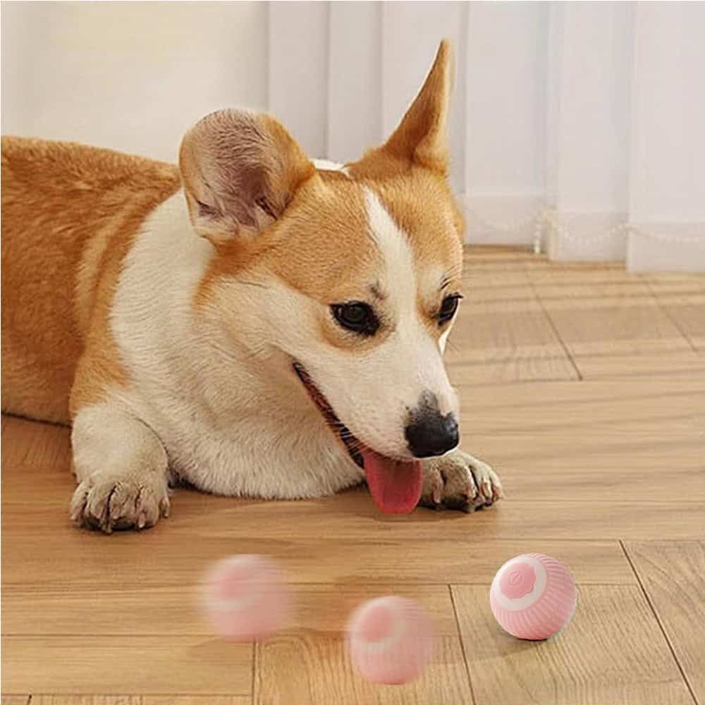 Calm Play™ Self-Rolling Smart Ball – Interactive Boredom & Separation-Anxiety Toy for Dogs - Image 10