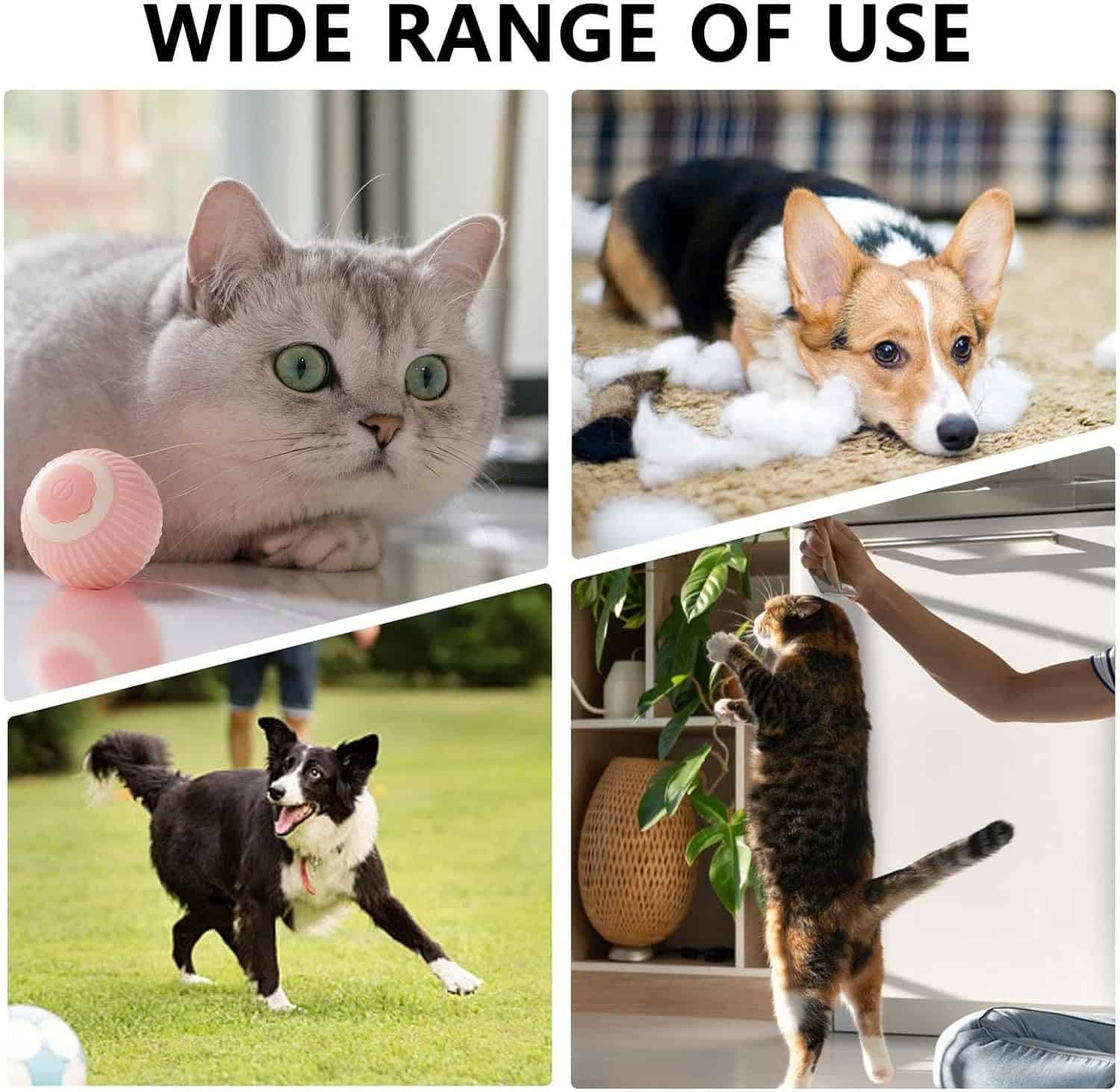 Calm Play™ Self-Rolling Smart Ball – Interactive Boredom & Separation-Anxiety Toy for Dogs - Image 2