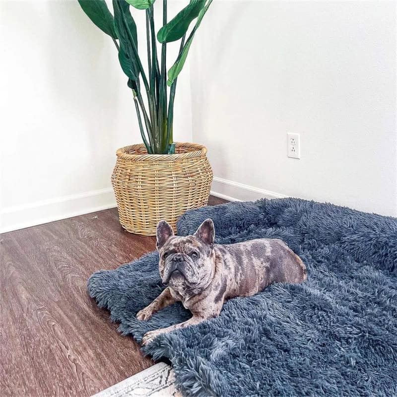 Calm Cloud fluffy calming dog bed and sofa cover – image 3