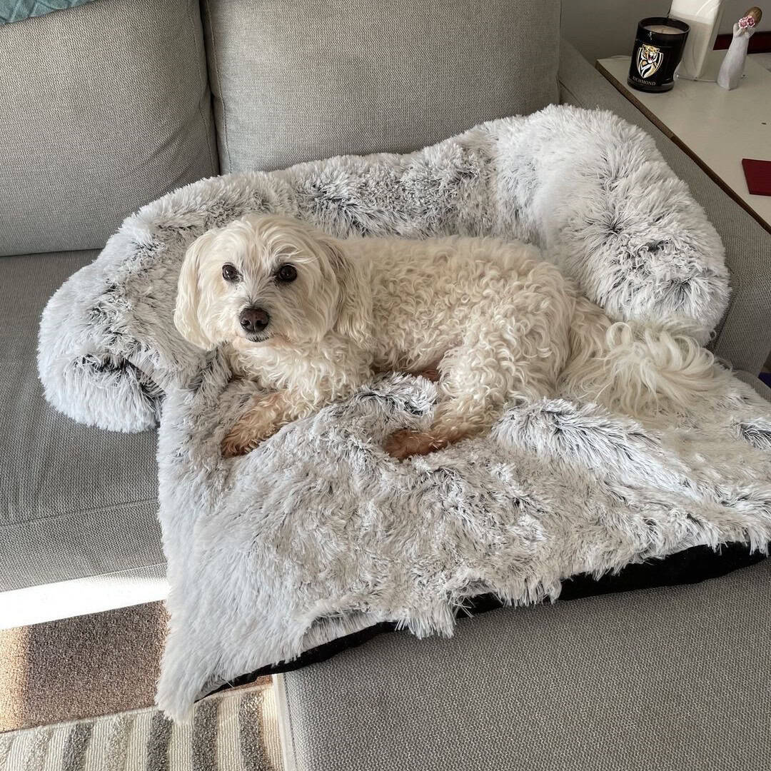 Calm Cloud fluffy calming dog bed and sofa cover – image 4