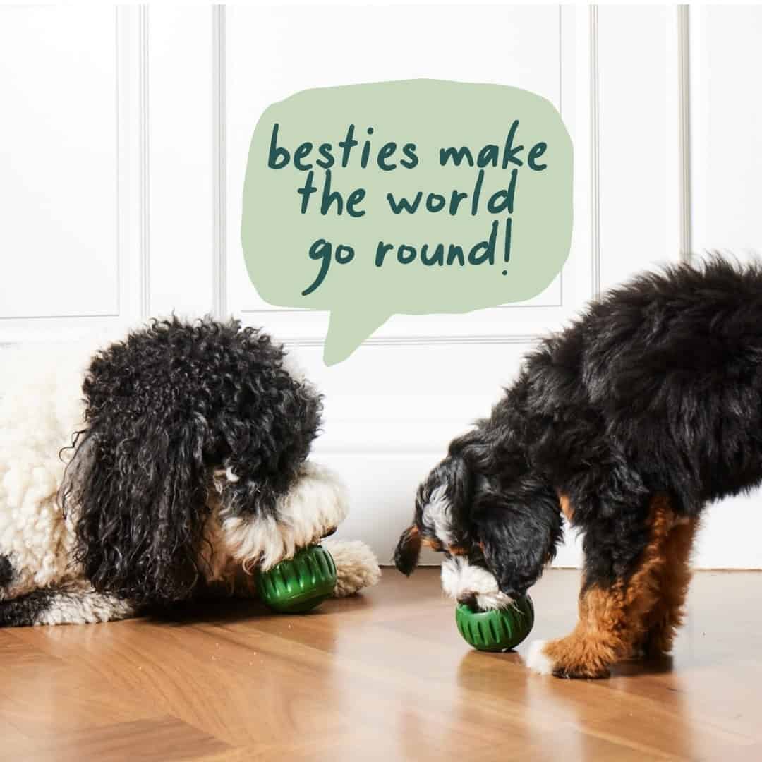 Calm Feed silicone slow-feeder treat ball for dogs – image 5