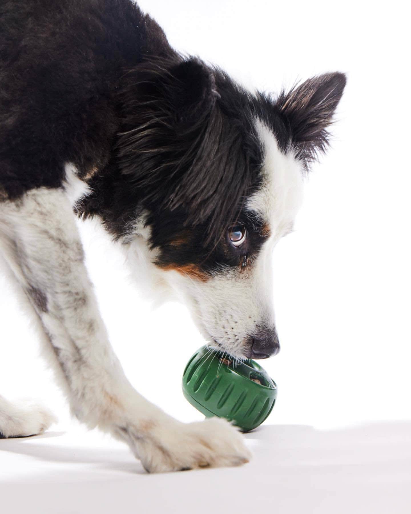 Calm Feed silicone slow-feeder treat ball for dogs – image 6