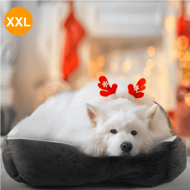 Calm Nest XXL Rectangular Bolster Dog Bed