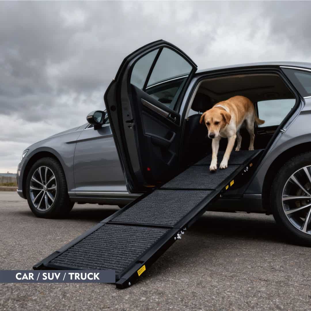 Calm Ride Folding Dog Car Ramp 71