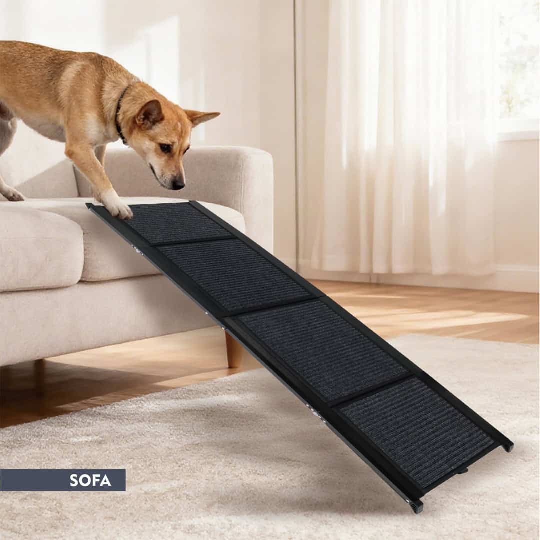 Calm Ride Folding Dog Car Ramp 71