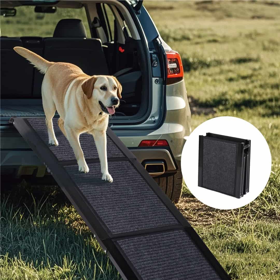 Calm Ride Folding Dog Car Ramp 71