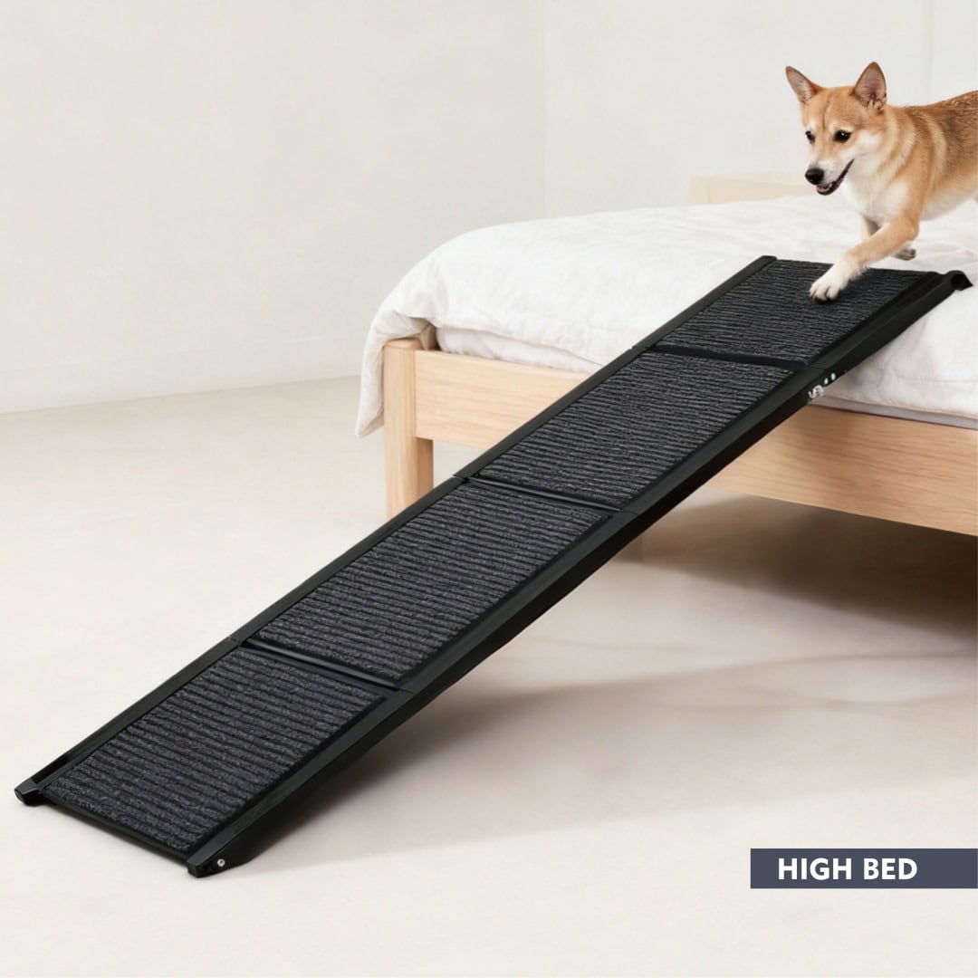 Calm Ride Folding Dog Car Ramp 71