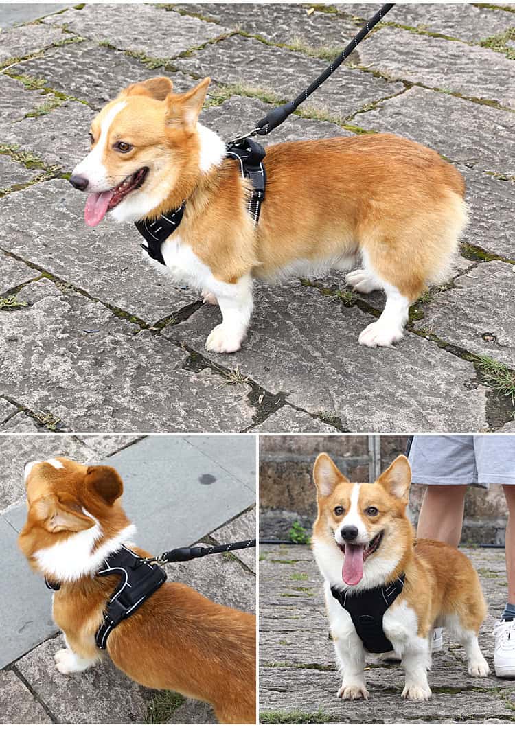 Calm Walk No-Pull Reflective Dog Harness Vest