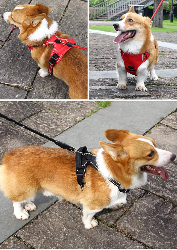 Calm Walk No-Pull Reflective Dog Harness Vest