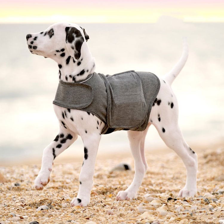 Calm Hug™ Anxiety Relief Vest for Dogs – Heather Gray