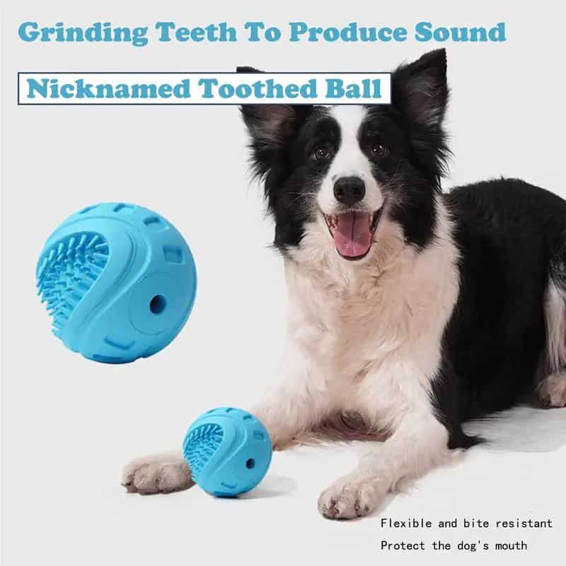 Interactive Dog Treat Ball & Slow Feeder
