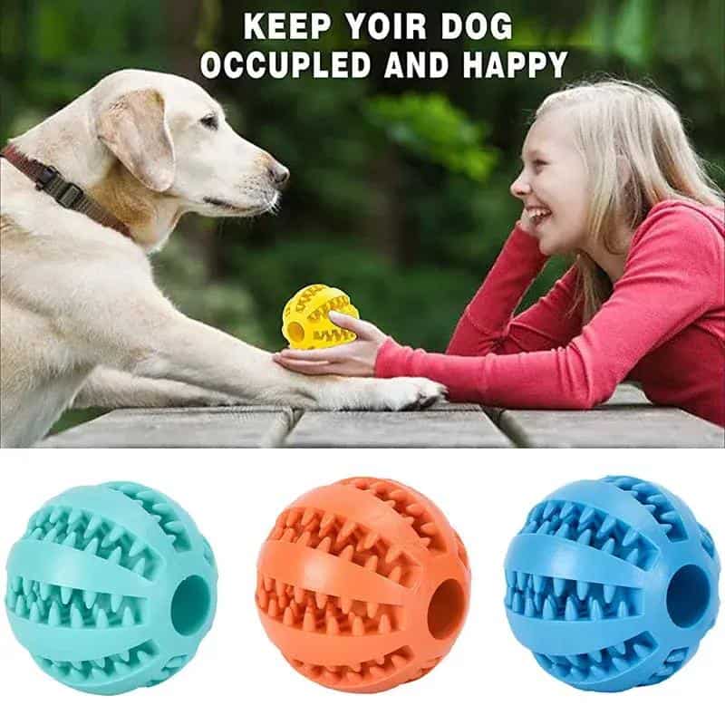 Interactive Dog Treat Ball & Slow Feeder