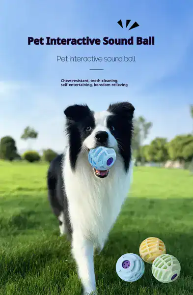 Interactive Sound Ball for Dogs
