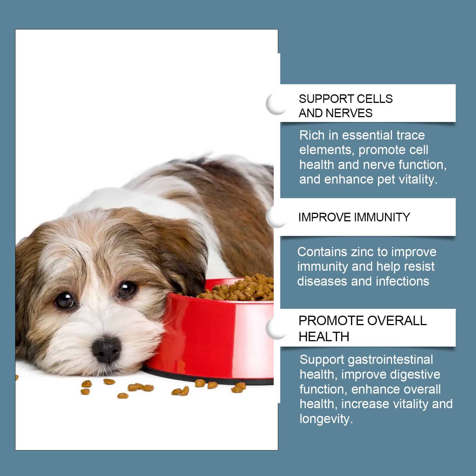 Mineral Supplement Chews for Dogs, 80 Count