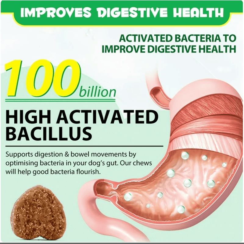 Probiotic Chews for Dogs